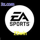  ZZwin