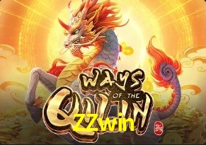 ZZwin