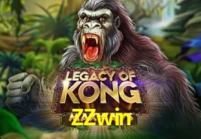  ZZwin