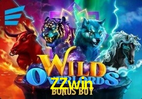  ZZwin