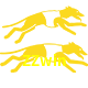  ZZwin
