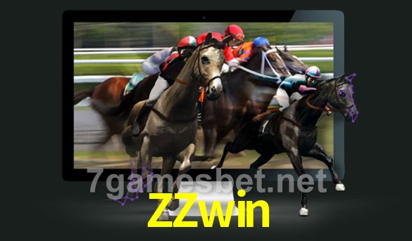  ZZwin